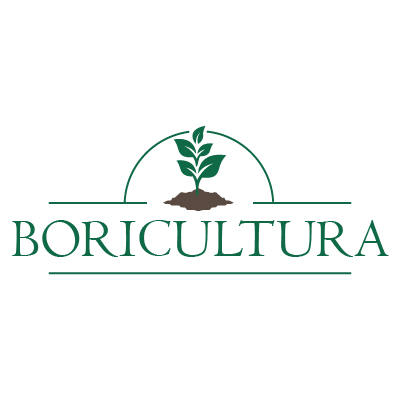 Boricultura